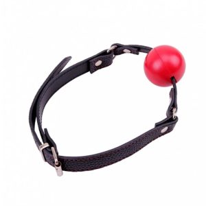 Red Ball Gag
