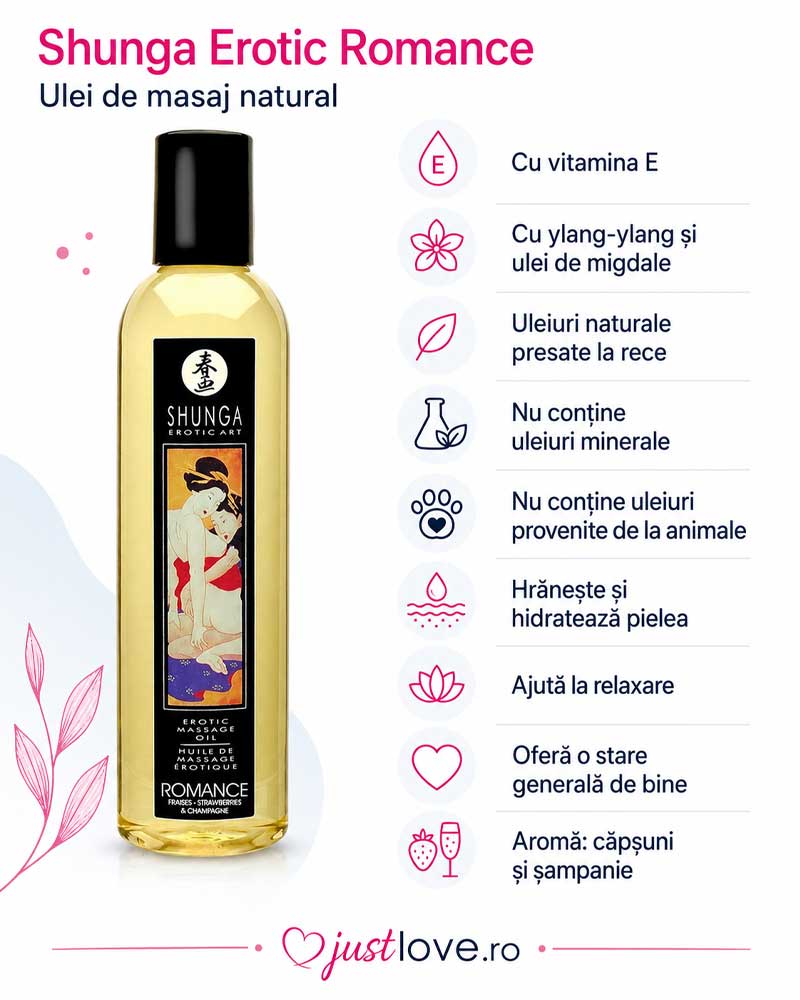 Shunga Erotic Romance
