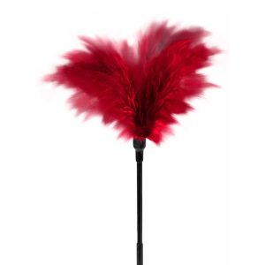 Small-Feather-Tickler1