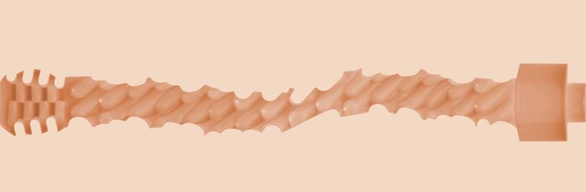 interiorul-masturbatorului