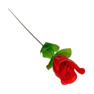 Rose-With-Red-G-string-🌹-Trandafir-👉-Tanga-Roșu-cu-Dantelă-cadou-femei