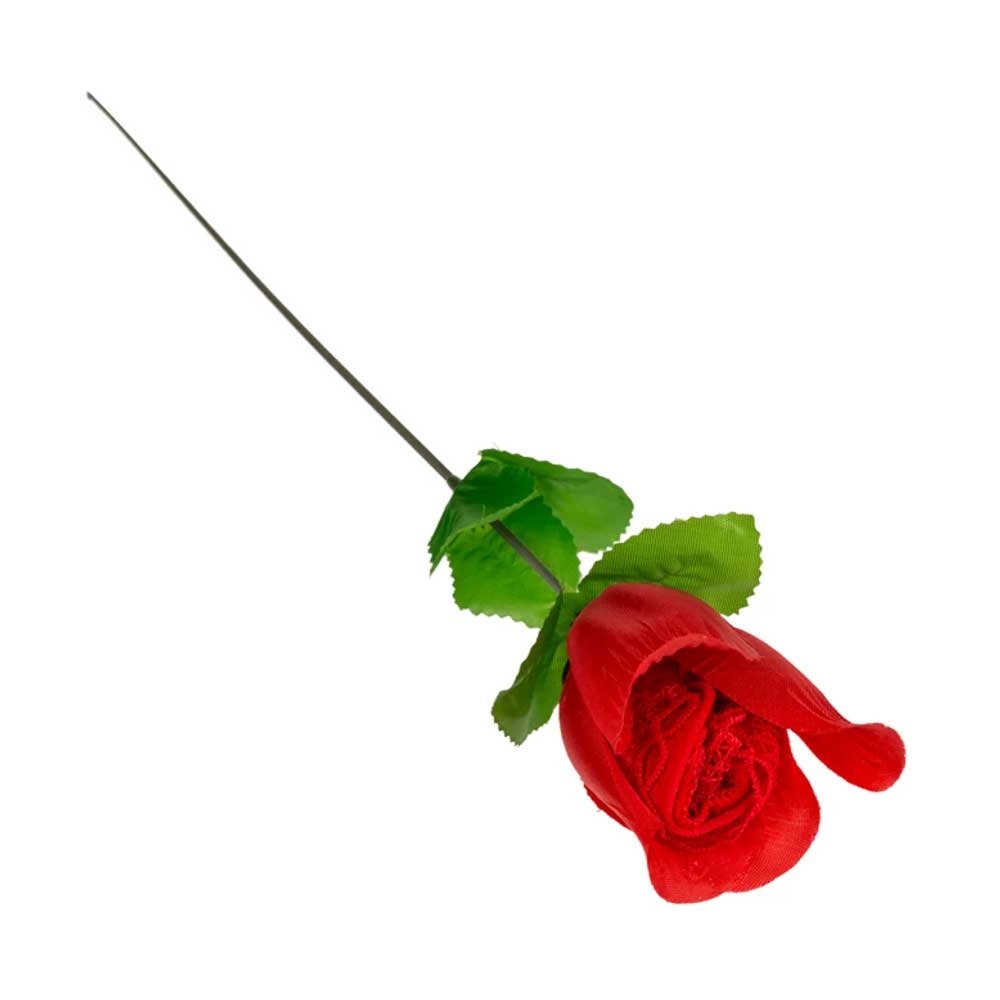 Rose-With-Red-G-string-🌹-Trandafir-👉-Tanga-Roșu-cu-Dantelă-cadou-femei Rose-With-Red-G-string-🌹-Trandafir-👉-Tanga-Roșu-cu-Dantelă-cadou-femei