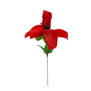 Rose-With-Red-G-string-🌹-Trandafir-👉-Tanga-Roșu-cu-Dantelă-femei