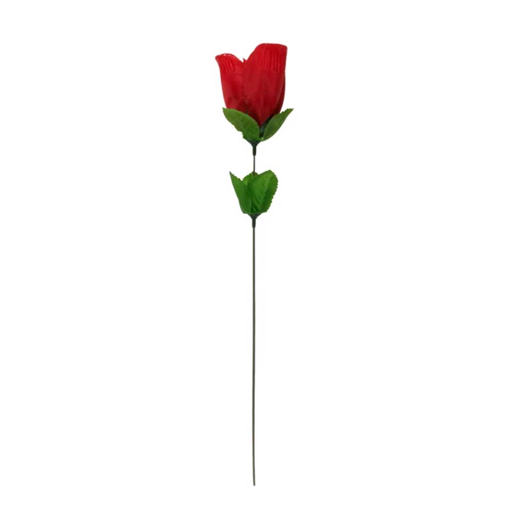 Rose-With-Red-G-string-🌹-Trandafir-👉-Tanga-Roșu-cu-Dantelă-in-trandafir Rose-With-Red-G-string-🌹-Trandafir-👉-Tanga-Roșu-cu-Dantelă-in-trandafir