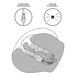 Fund-Exotic-Streetgirl-interior