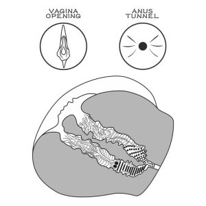 Masturbator-Streetgirl’s-#12-–-Vagin-&-Anus-interior