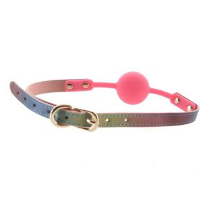 Minge-Spectra-Bondage-Ballgag-–-Rainbow-curcubeu