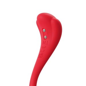 Vibrator-Phoenix-Neo-2-App-Control-incarcare