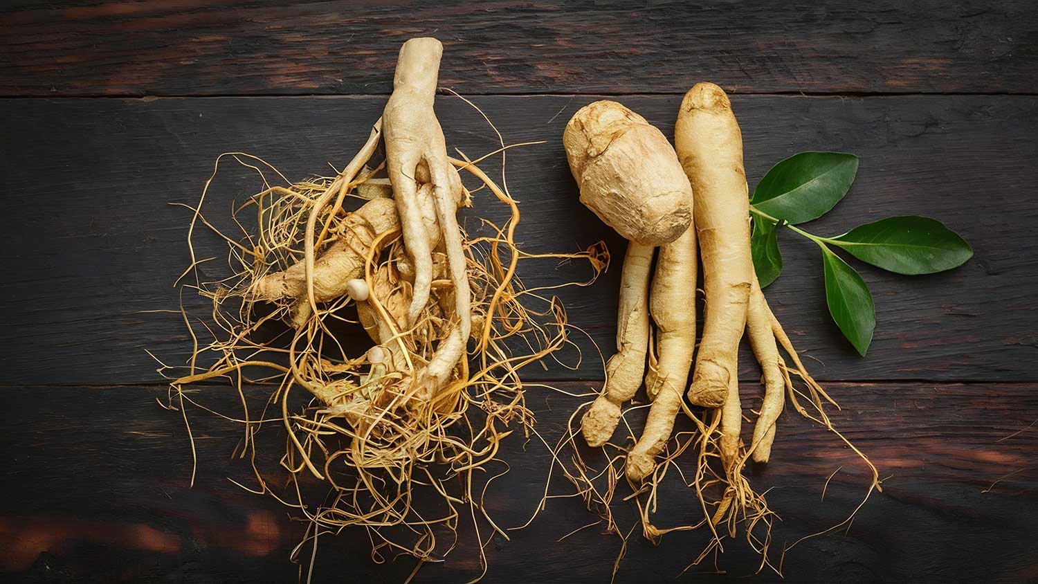 ginseng-pentru-potenta-si-vitalitate