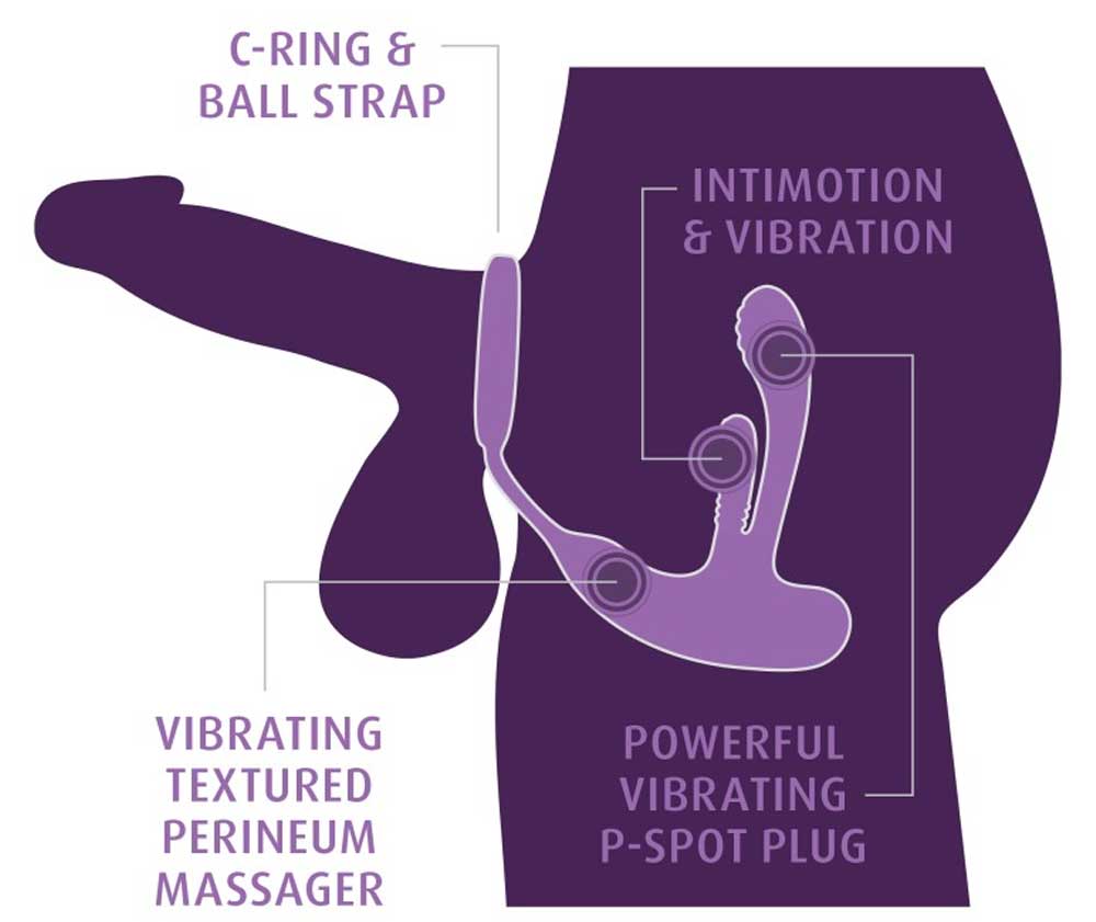Vibrator Prostată Ass-Gasm IntiMotion