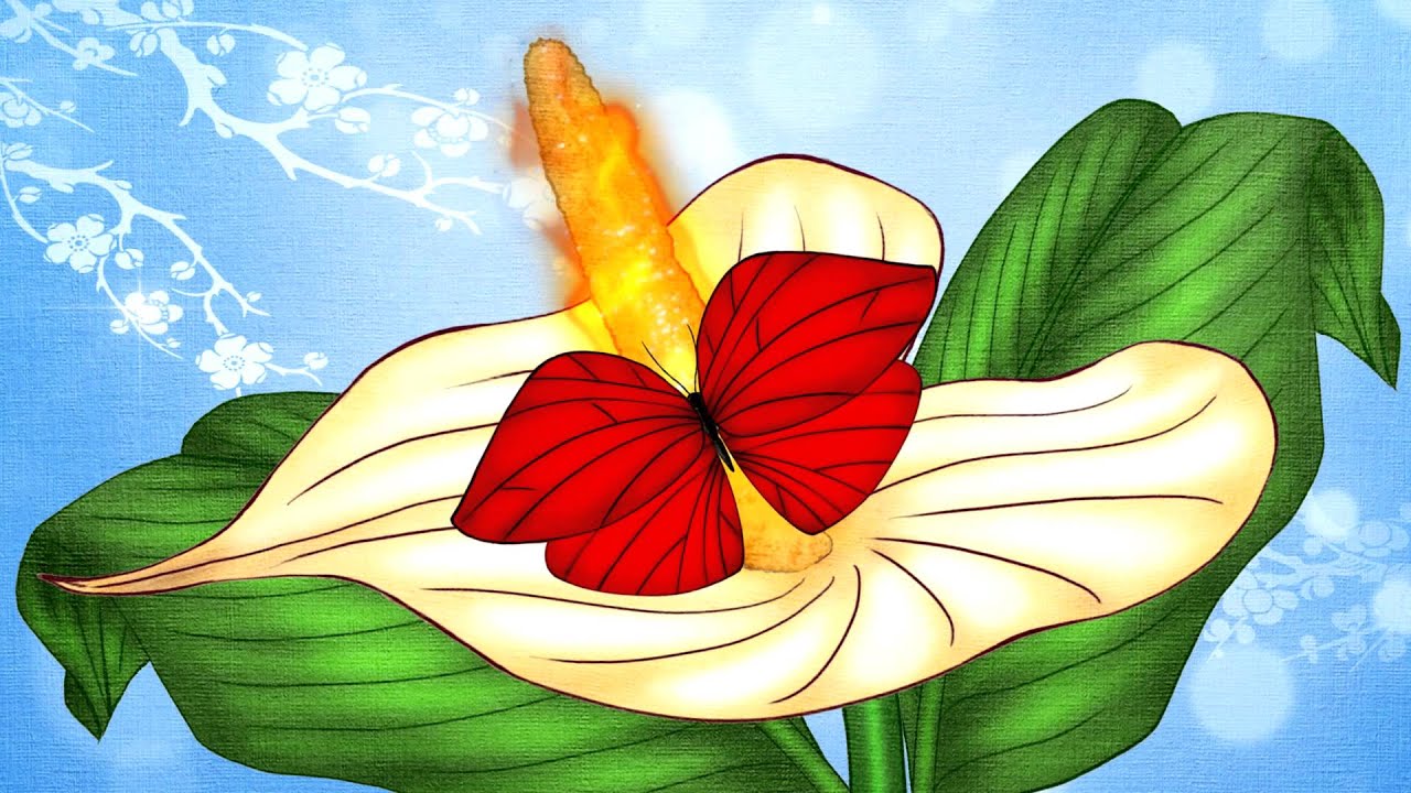 youtube placeholder image